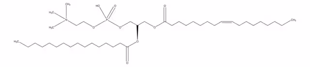 1-OLEOYL-2-PALMITOYL-SN-GLYCERO-3-PHOS& paquete 1X100MG