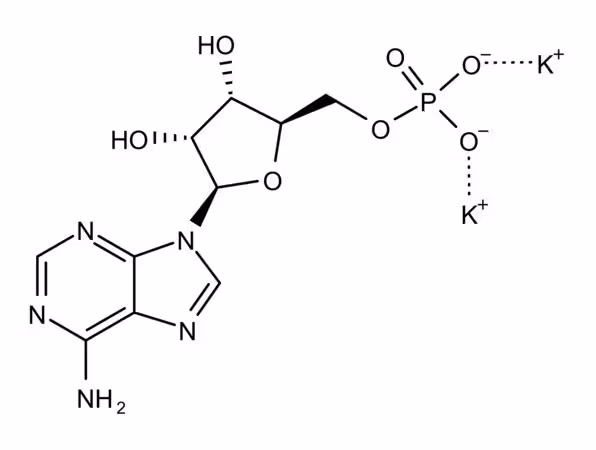 ÁCIDO POLIADENÍLICO (5'), POTASIO pack 1X100MG