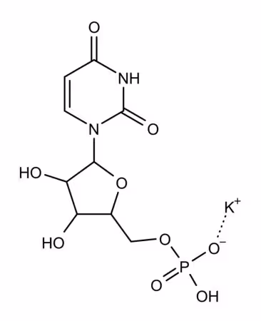 ÁCIDO POLIURIDÍLICO (5') POTASIO pack 1X10MG