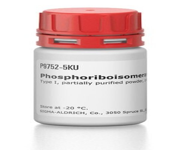 FOSFORIBOISOMERASA DE ESPINACA TIPO& pack 1X5KU