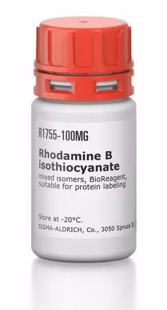 ISOTIOCIANATO DE RODAMINA B MIXTO DE ISOMEROS& pack 1X100MG