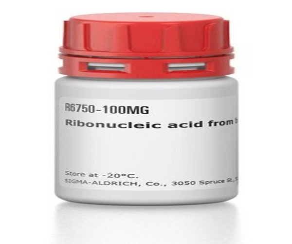 ÁCIDO RIBONUCLEICO pack 1X500MG