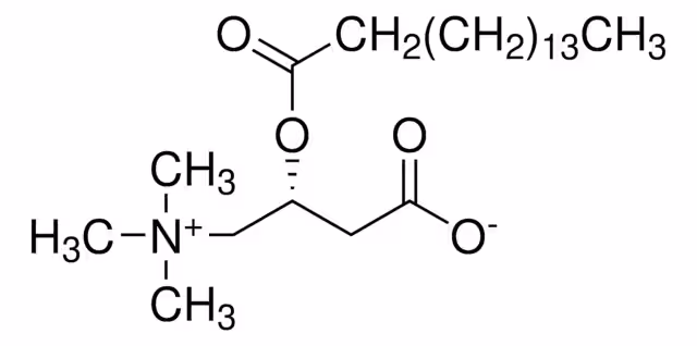 PALMITOIL-L-CARNITINA pack 1X50MG