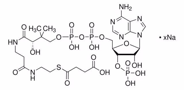 SUCCINILO COENZIMA A SODIO pack 1X5MG
