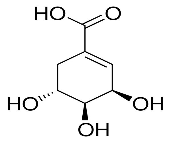 (-)ÁCIDO SHIKIMICO pack 1X5G