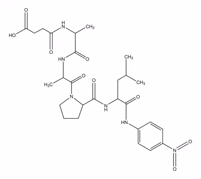 N-SUCCINYL-ALA-ALA-PRO-LEU P paquete 1X10MG