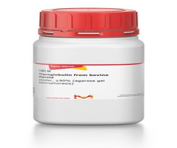 TIROGLOBULINA DE TIROIDES BOVINA pack 1X1G