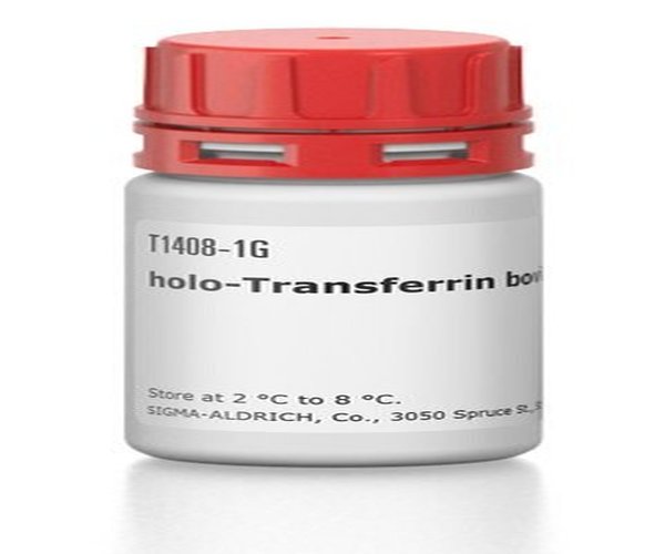 HOLO-TRANSFERRINA BOVINA pack 1X500MG