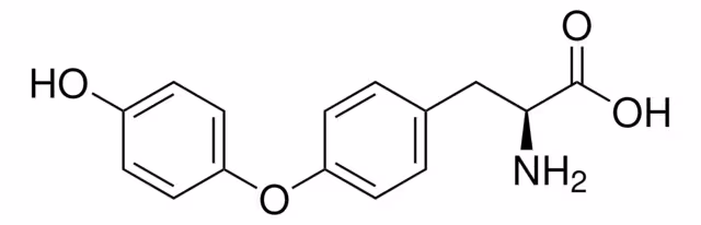 L-TIRONINA pack 1X500MG