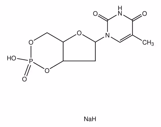 TIMIDINA 3':5'-MONOFOSFATO CÍCLICO & pack 1X25MG