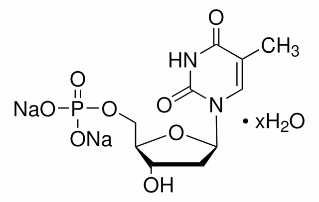 TIMIDINA 5'-MONOFOSFATO DISODIO HYDR pack 1X1G