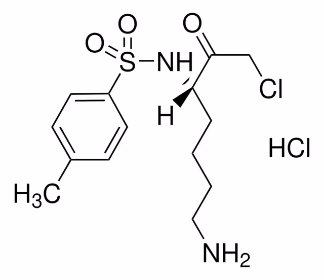 N ALFA-TOSIL-L-LISINA CLOROMETILO & pack 1X500MG