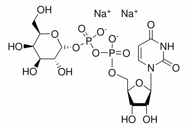 URIDINA 5'-DIFOSFOGALACTOSA DISODIO pack 1X100MG