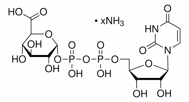 URIDINA ÁCIDO 5'-DIFOSFOGLUCURÓNICO& pack 1X250MG