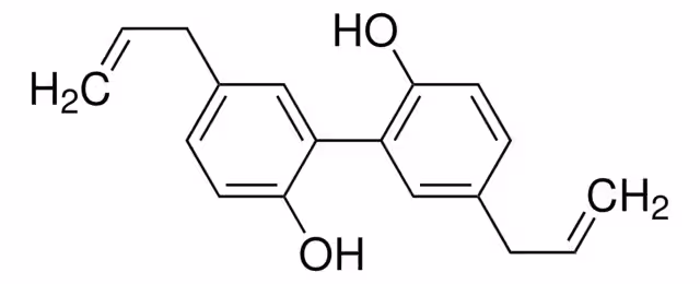 MAGNOLOL pack 1X10MG