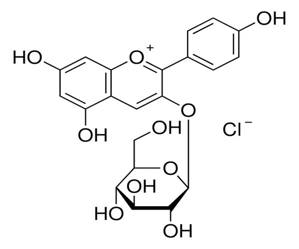 CLORURO DE CALLISTEFINA pack 1X1MG