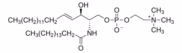 N-PALMITOILO-D-ESFINGOMIELINA pack 1X250MG