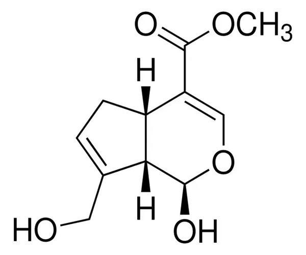 GENIPIN pack 1X125MG