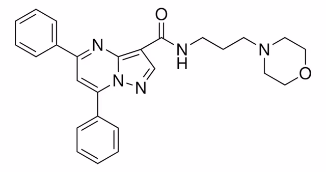 REVERSAN pack 1X5MG