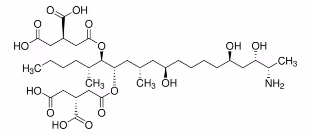 FUMONISINA B1 SOLUCIÓN PREPARADA paquete 1X1ML