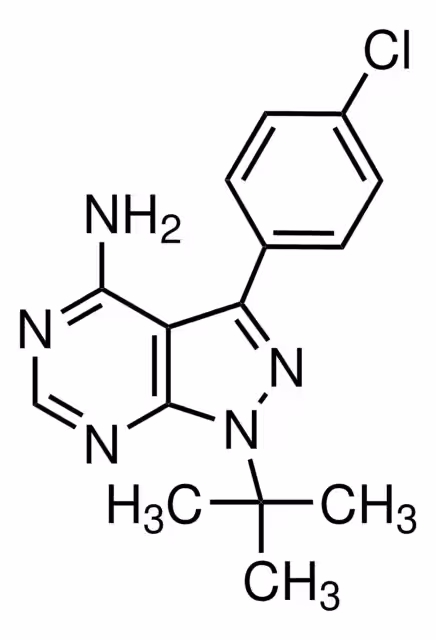 Paquete PP2 1X5MG