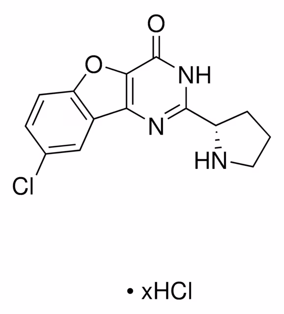 XL413 CLORHIDRATO pack 1X25MG