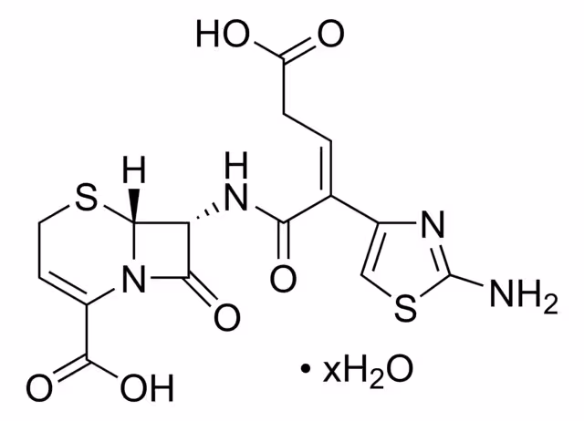 CEFTIBUTEN HIDRATO pack 1X10MG