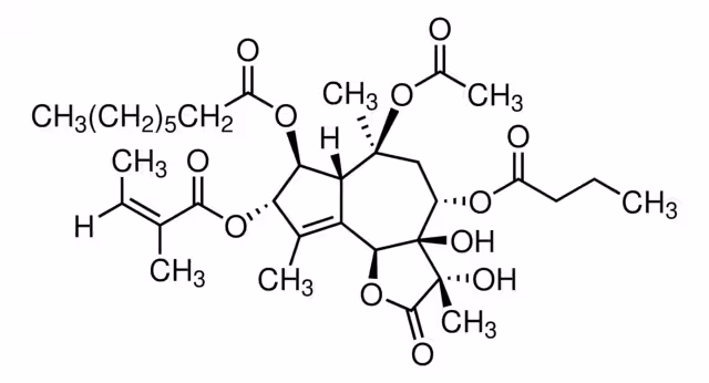 Solución hecha de Thapsigargin ≥98% (HPLC), 10 mM en paquete DMSO 1X4MG
