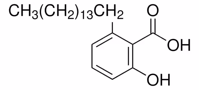 ÁCIDO ANACARDICO pack 1X25MG
