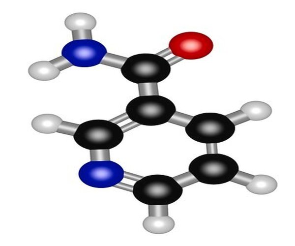 NICOTINAMIDA paquete 1X50G