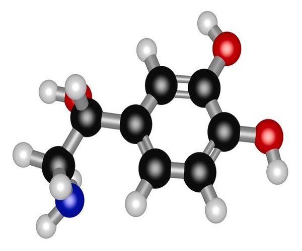 (+/-)-NOREPINEFRINA (+)-SAL BITARTRATO pack 1X1G