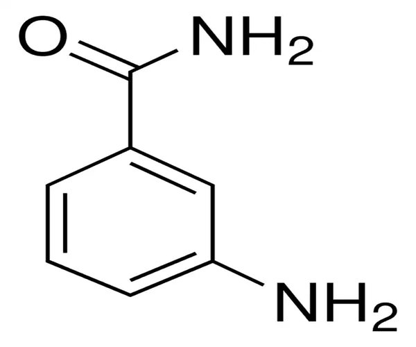 3-AMINOBENZAMIDA pack 1X5G