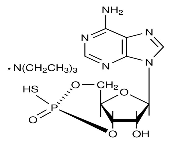 SP-ADENOSINA 3',5'-MONOFOSFOROT CÍCLICO pack 1X5MG