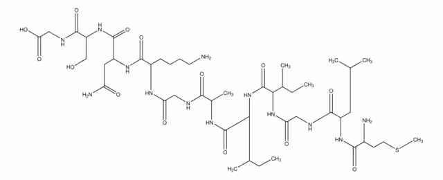 PROTEÍNA B AMILOIDE, FRAGMENTO 35-25 paquete 1X250UG