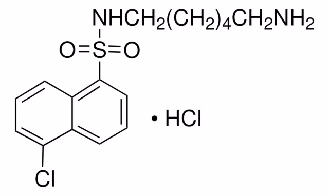 N-(6-AMINOHEXIL)-5-CLORO-1- y paquete 1X100MG