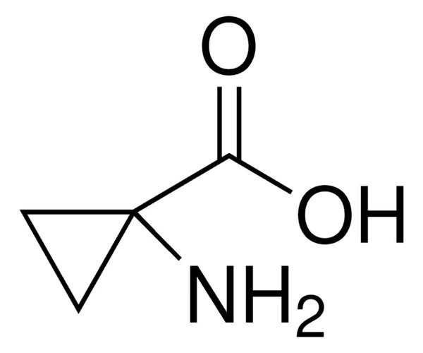 ÁCIDO 1-AMINOCICLOPROPANO-1-CARBOXÍLICO pack 1X1G