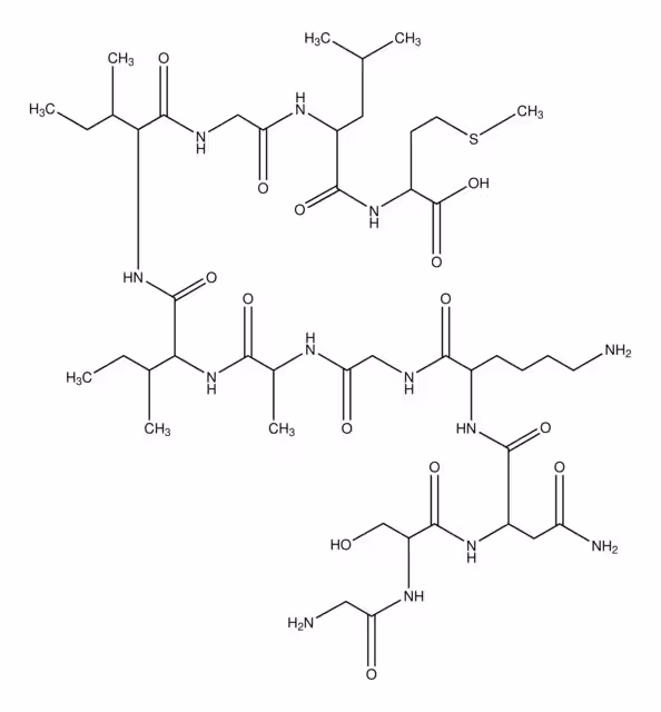 FRAGMENTO DE PROTEÍNA B AMILOIDE paquete 25-35 1X1MG