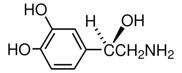 (-)-NOREPINEFRINA pack 1X1G