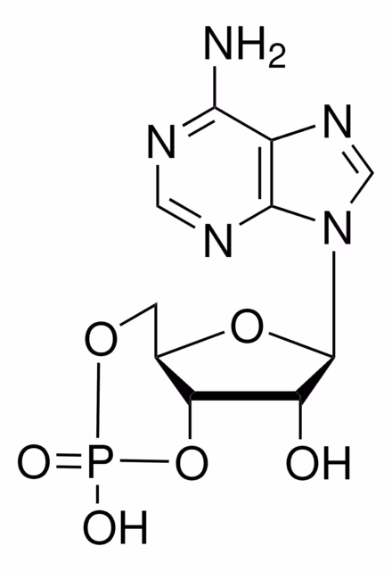 ADENOSINA 3':5'-MONOFOSFATO CÍCLICO pack 1X25G