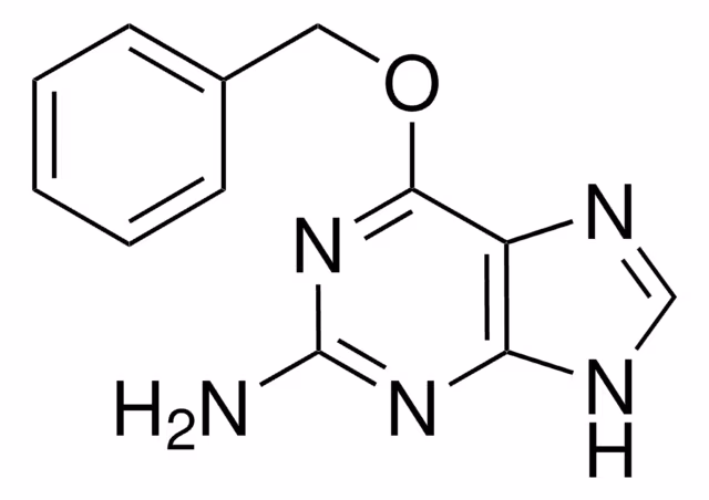 O6-BENCILGUANINA pack 1X50MG