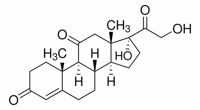 Paquete CORTISONA 1X250MG