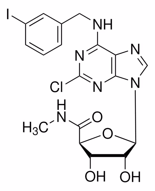 CLORO-IB-MECA pack 1X25MG