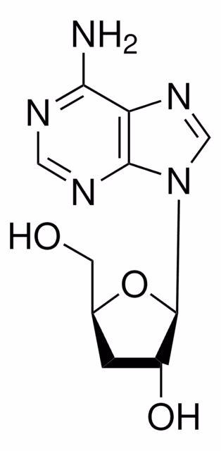 CORDYCEPINA CRISTALINA pack 1X25MG
