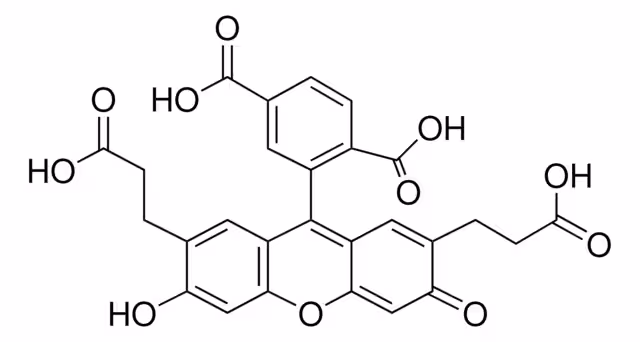 2',7'-BIS(2-CARBOXIETIL)-5(6)- CARBOXYF paquete 1X1MG