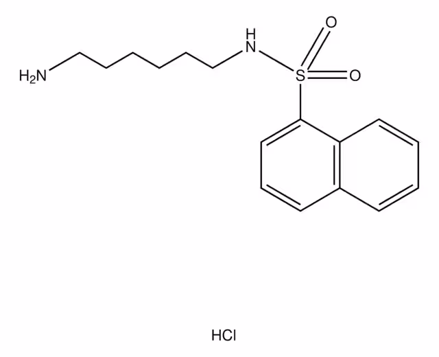 N-(6-AMINOHEXIL)-1-NAFTALENESULFONAMIDA pack 1X5MG