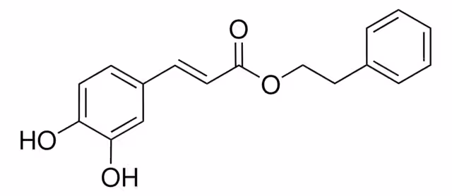 Éster fenetílico del ácido cafeico (CAPE) pack 1X1G