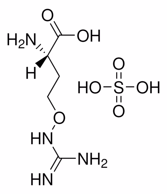 L-CANAVANINA SULFATO CRISTALINO pack 1X100MG