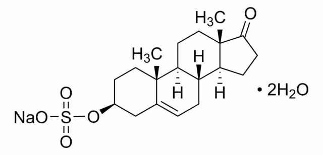 DEHIDROISOANDROSTERONA 3-SULFATO DE SODIO& pack 1X250MG