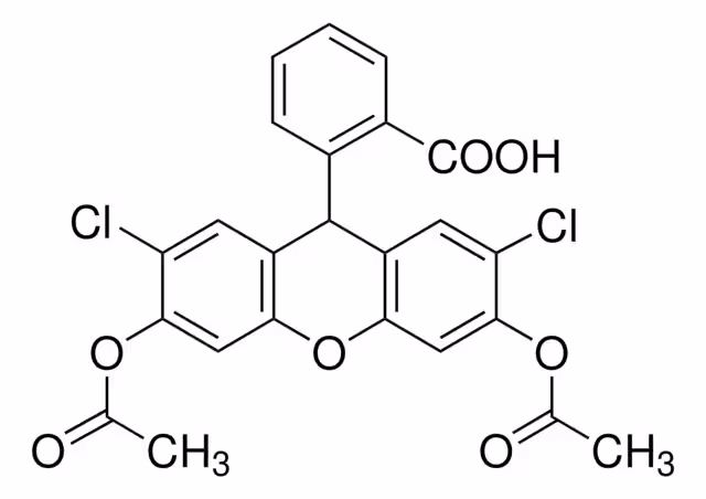 DIACETATO DE 2',7'-DICLOROFLUORESCINA pack 1X250MG