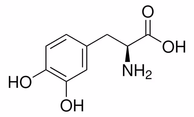 3,4-DIHIDROXI-L-FENILALANINA, >=98%& paquete 1X5G